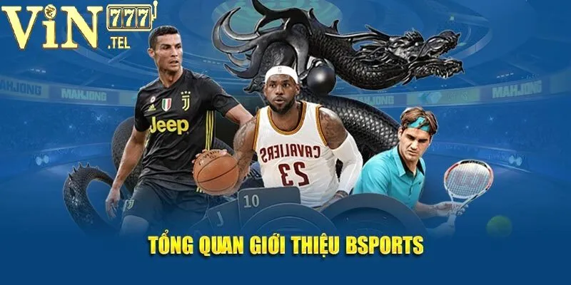 B-Sports VIN777 – Đa Dạng Môn Thể Thao, Cược Thoải Mái 2 Tổng quan thông tin về chuyên mục B-Sports VIN777
