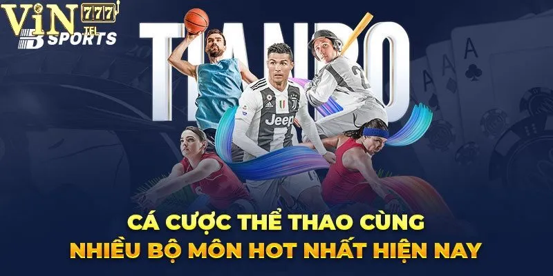 B-Sports VIN777 – Đa Dạng Môn Thể Thao, Cược Thoải Mái 3 Mang đến tỷ lệ cá cược hấp dẫn